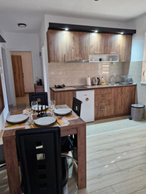 Apartman Curcic 1